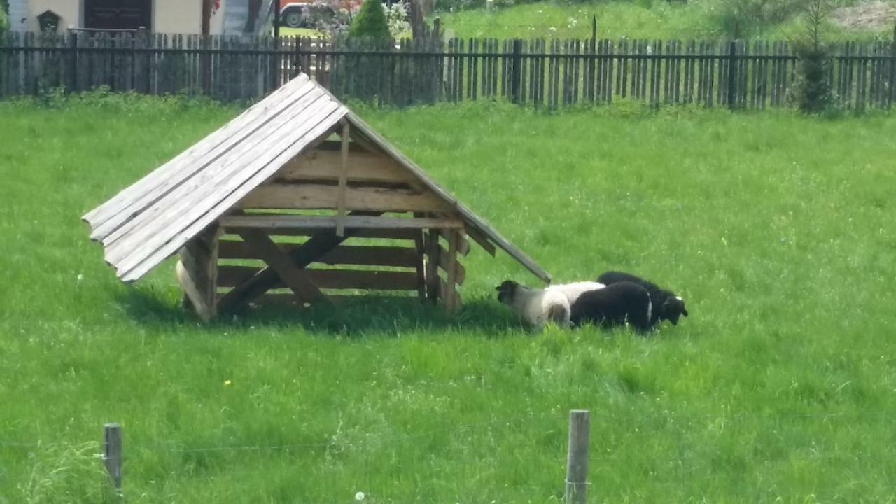 Pensión Pod Debami - Sala Zabaw - Malpi Gaj *